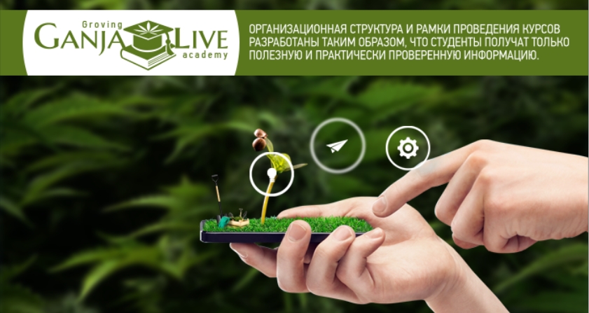 Академия гроверов: Преимущества Академия гроверов: Преимущества