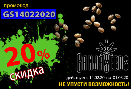 Интернет магазин GanjaSeeds запускает акцию в честь дня святого Валентина! Интернет магазин GanjaSeeds запускает акцию в честь дня святого Валентина!