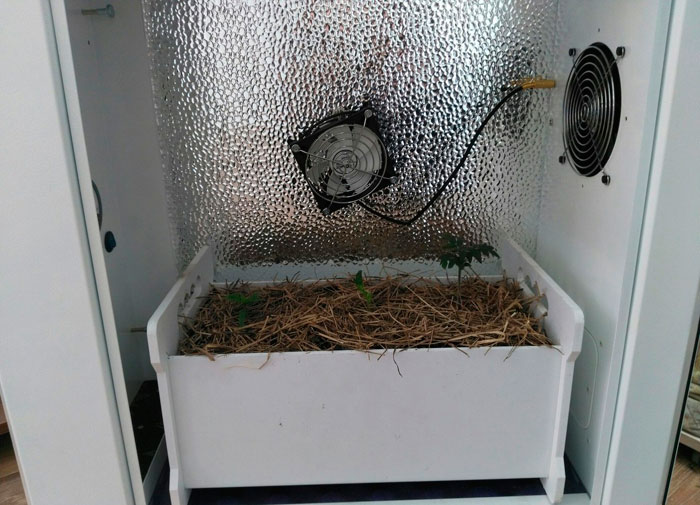 Дешевый вариант Дешевый вариант