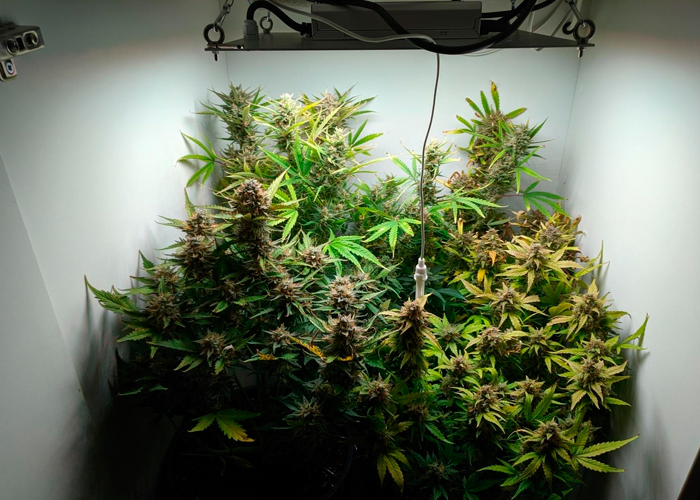 Освещение Освещение