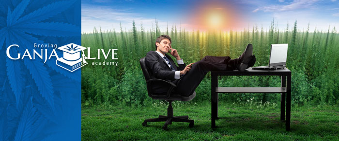 Академия грова: Специальности по факультетам Академия грова: Специальности по факультетам