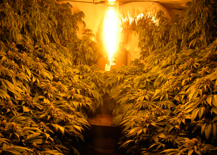 Цилиндрические системы с центральным освещением Цилиндрические системы с центральным освещением