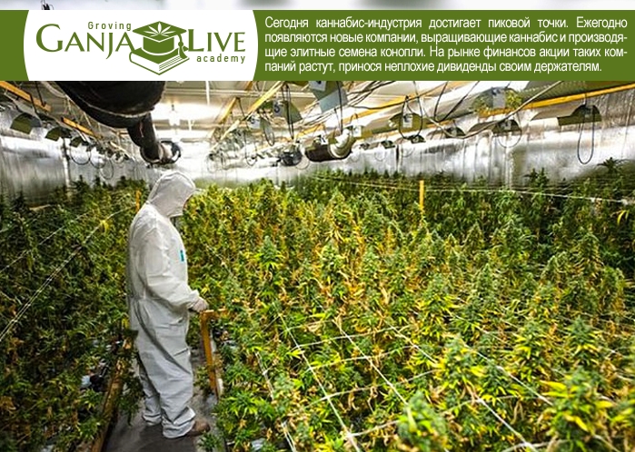 Академия гроверов: Преимущества Академия гроверов: Преимущества