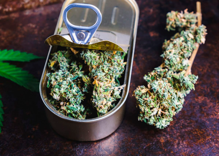 Сушим шишки Сушим шишки