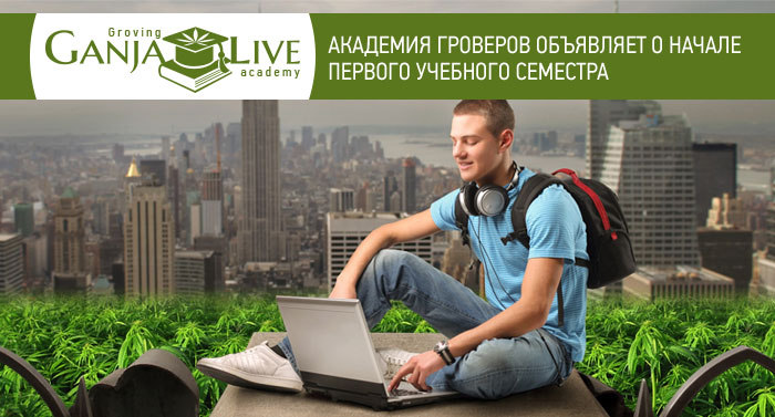 Академия гроверов объявляет о начале первого учебного семестра Академия гроверов объявляет о начале первого учебного семестра