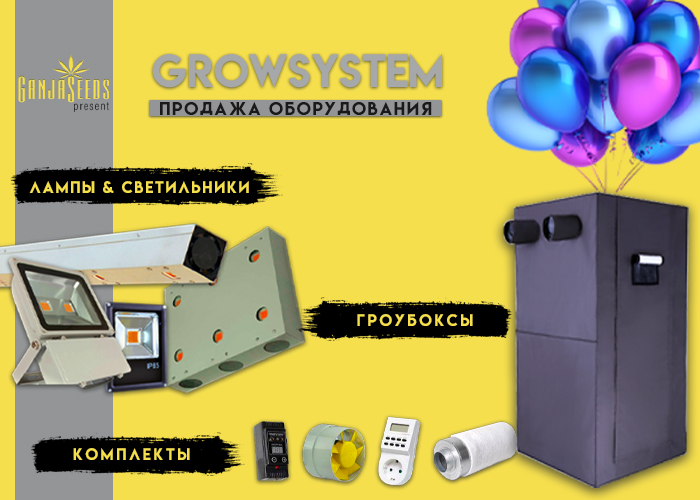 В GanjaSeeds начал работу гроушоп В GanjaSeeds начал работу гроушоп