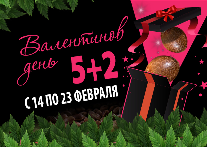 Наш подарок вам ко Дню святого Валентина Наш подарок вам ко Дню святого Валентина
