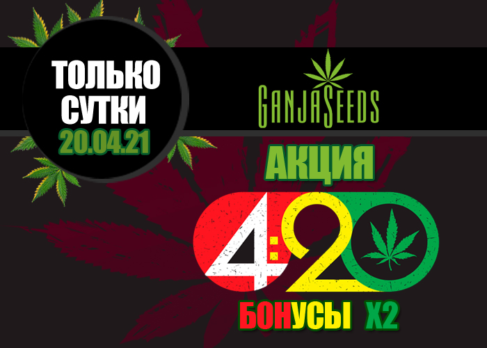 420 – 20 апреля бонусы умножаются на 2! 420 – 20 апреля бонусы умножаются на 2!