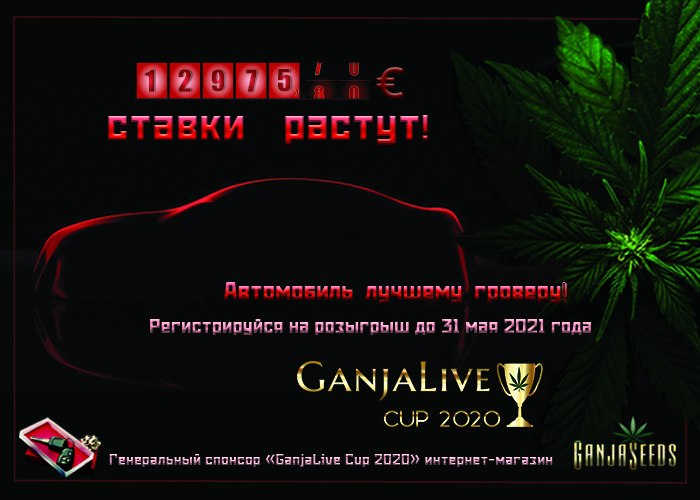 Главный конкурс от GanjaLive «GanjaLive Cup 2020» продолжается! Главный конкурс от GanjaLive «GanjaLive Cup 2020» продолжается!