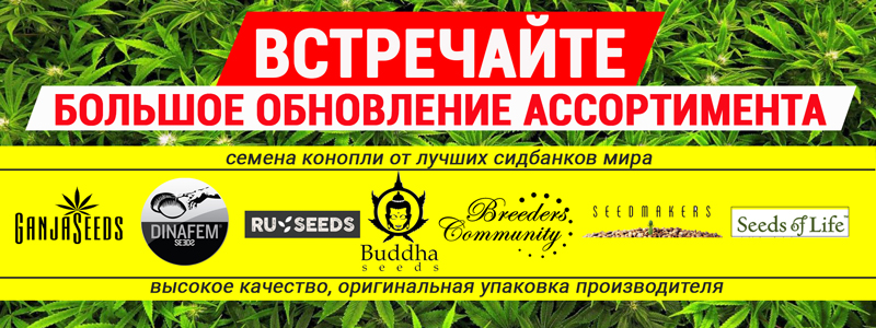 Buddha Seeds, Breeders Community, Dinafem, RuSeeds, Seedmakers и Seeds of Life Buddha Seeds, Breeders Community, Dinafem, RuSeeds, Seedmakers и Seeds of Life