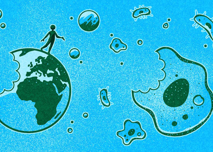 Микробиология гровинга: основы культивирования бактерий Микробиология гровинга: основы культивирования бактерий