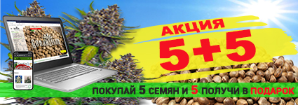 вдвое больше семян вдвое больше семян