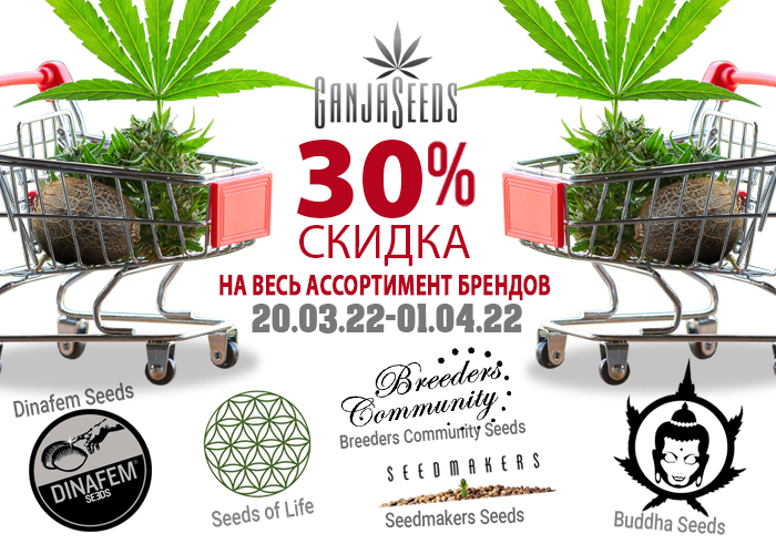 GanjaSeeds: -30% до конца марта! GanjaSeeds: -30% до конца марта!