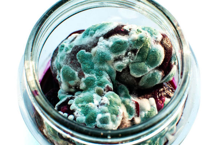 Уничтожает болезнетворные микроорганизмы Уничтожает болезнетворные микроорганизмы