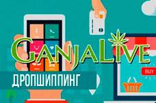 Дропшиппинг Дропшиппинг