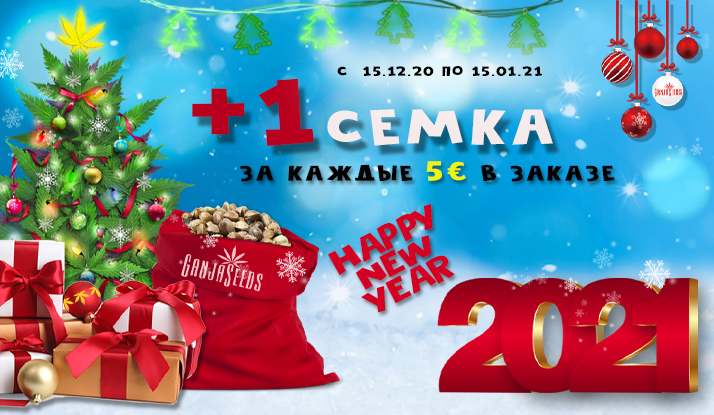GanjaSeeds обещает целый месяц подарков GanjaSeeds обещает целый месяц подарков