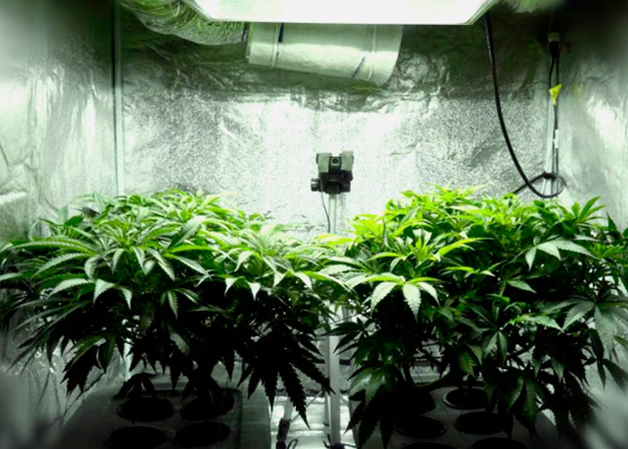 Три принципиальных знания Три принципиальных знания