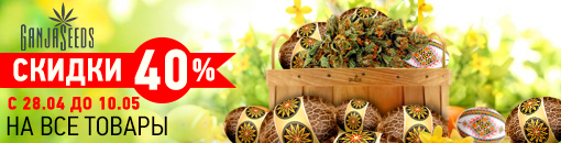 Скидка 40% Скидка 40%