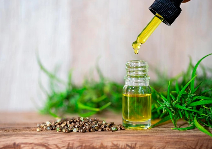 Как добывается масло CBD Как добывается масло CBD