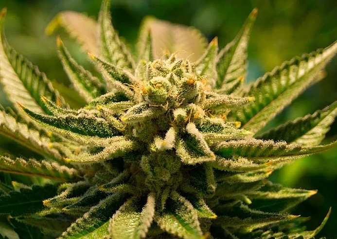 Чек-лист &mdash; как не потерять урожай