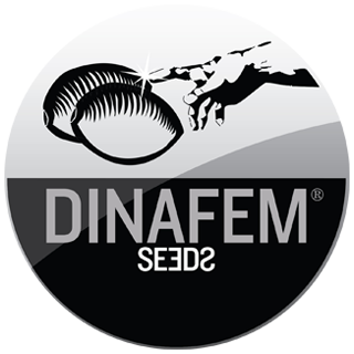 Dinafem Seeds