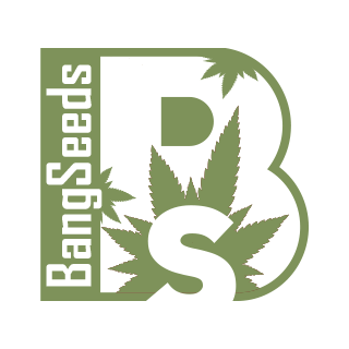 Bang Seeds