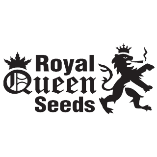 Royal Queen