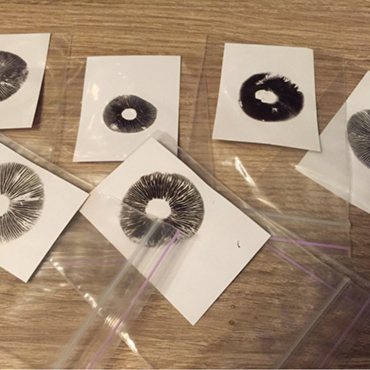 Споры галлюциногенных грибов Споры галлюциногенных грибов