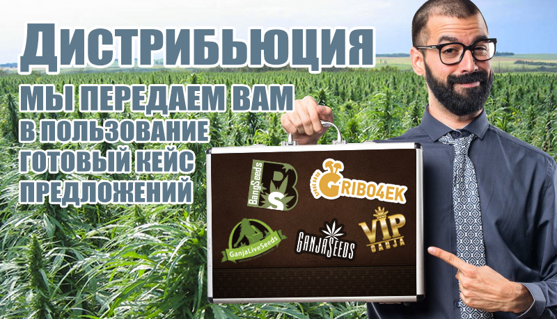 Дистрибьюция Дистрибьюция