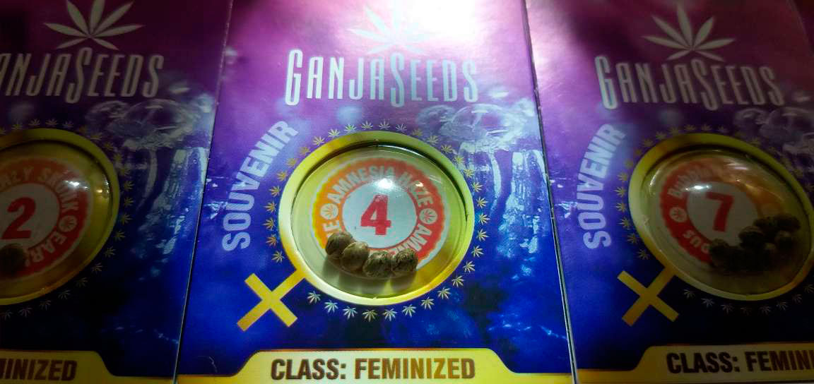 Семена конопли сидбанка GanjaSeeds Семена конопли сидбанка GanjaSeeds