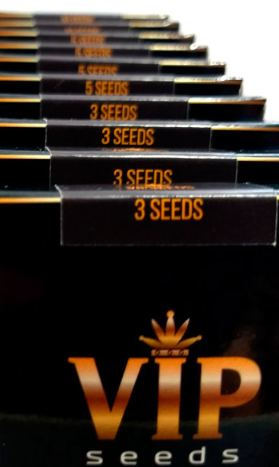 Семена конопли сидбанка GanjaVIP Семена конопли сидбанка GanjaVIP