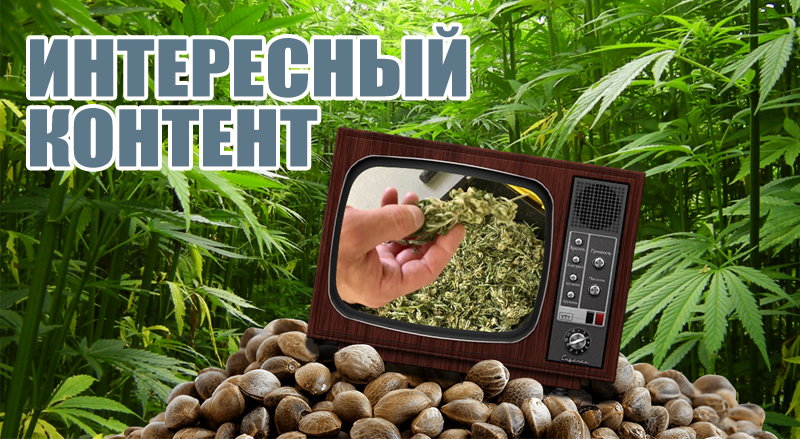 Интересный контент Интересный контент