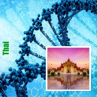 сорта Thai сорта Thai