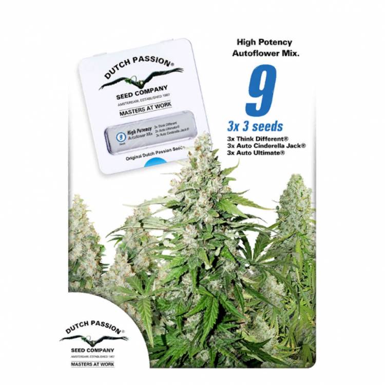заказ семян конопли Москва Autoflower High Potency Mix feminised Dutch Passion Seeds заказ семян конопли Москва Autoflower High Potency Mix feminised Dutch Passion Seeds