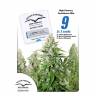 заказ семян конопли Москва Autoflower High Potency Mix feminised Dutch Passion Seeds заказ семян конопли Москва Autoflower High Potency Mix feminised Dutch Passion Seeds