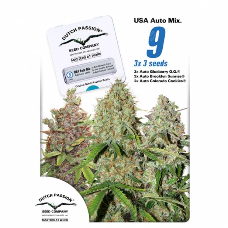 семена конопли в России Autoflower USA Mix feminised Dutch Passion Seeds семена конопли в России Autoflower USA Mix feminised Dutch Passion Seeds