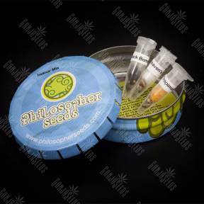 Indoor Mix feminised Philosopher Seeds