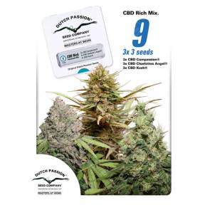 CBD Rich Mix feminised Dutch Passion Seeds
