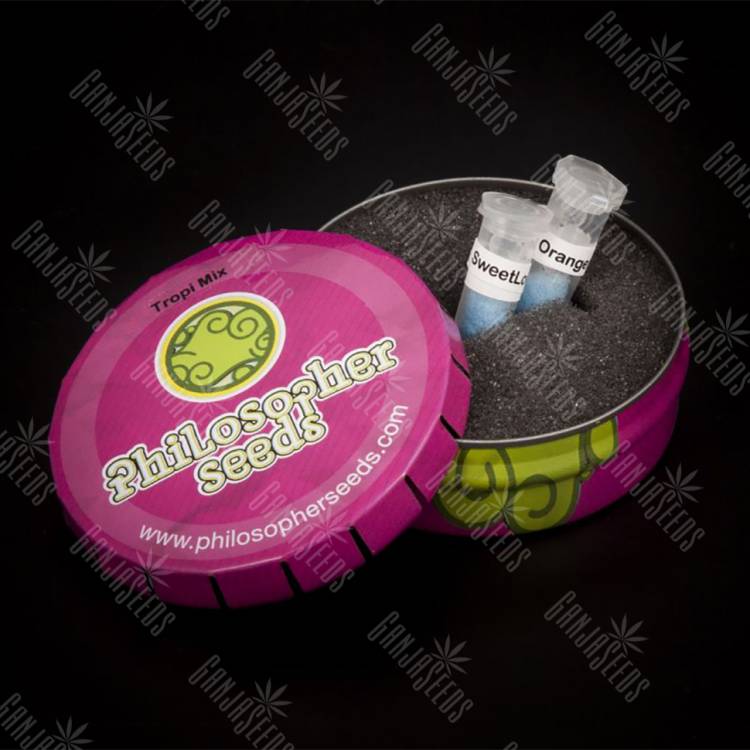 семена конопли для выращивания Tropi Mix feminised Philosopher Seeds