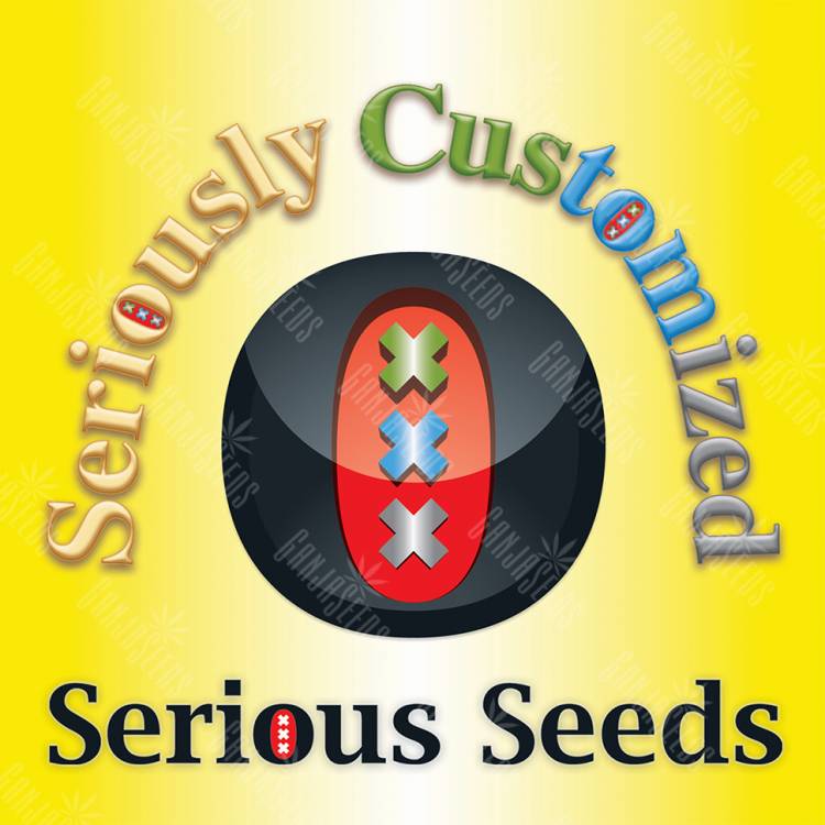 заказ семян конопли Russian Outdoor Mix feminised Serious Seeds