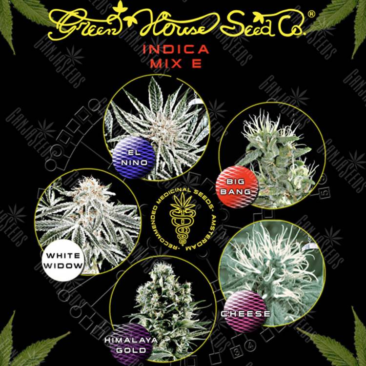 семена конопли Москва Indica Mix E feminised Green House Seeds семена конопли Москва Indica Mix E feminised Green House Seeds