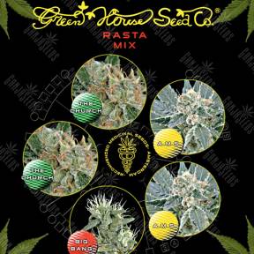 Rasta K Mix feminised Green House Seeds