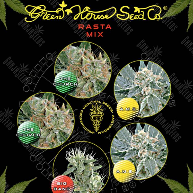 семена конопли в фирменной упаковке Rasta K Mix feminised Green House Seeds семена конопли в фирменной упаковке Rasta K Mix feminised Green House Seeds