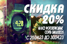 В 4:20 с GanjaSeeds!