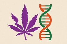 Мутации каннабиса: генетические метаморфозы, меняющие индустрию