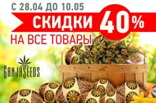 Скидка 40%: Наши «орешки» самые крепкие и самые доступные!